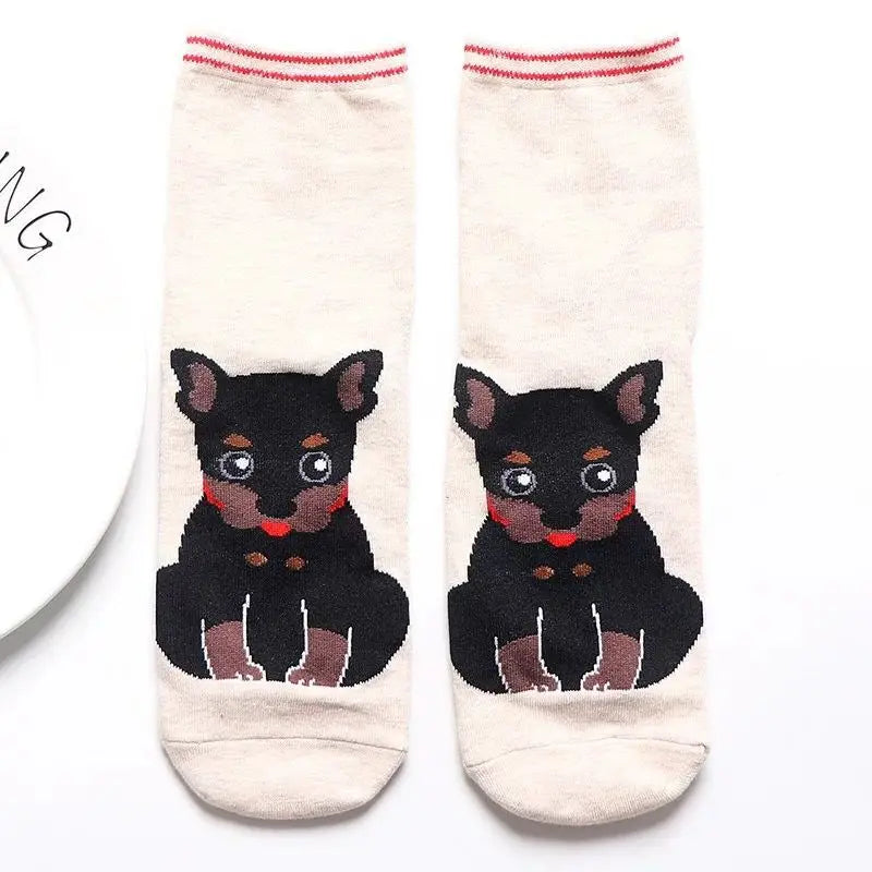 1 Pair Of Cute Animals Funny Socks Kawaii Cats And Dogs Somalia Art White Socks Women Novel Harajuku Funny Animal Cotton Socks